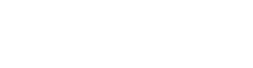 Logo Footer